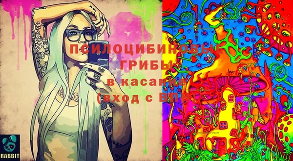 гидропоника Зеленодольск