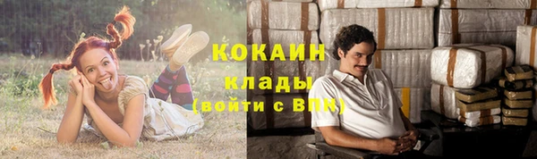 метадон Вяземский