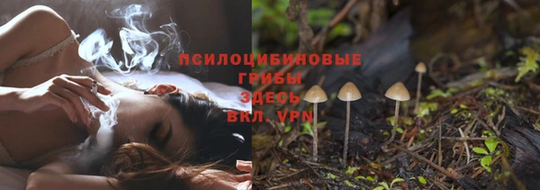 индика Тольятти