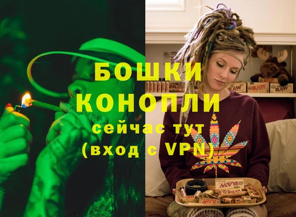 метадон Вяземский