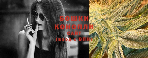 индика Ижевск