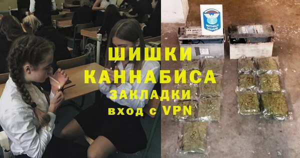 метадон Вяземский