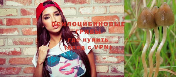 MDMA Premium VHQ Зеленокумск