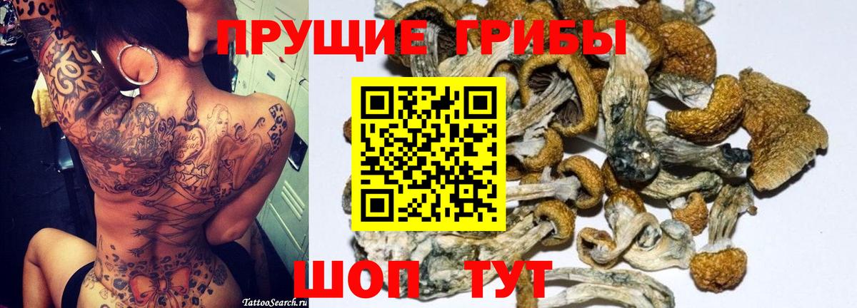 Галлюциногенные грибы мицелий Ипатово