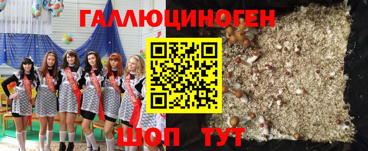 Псилоцибиновые грибы Magic Shrooms  Вход с VPN  Ипатово 